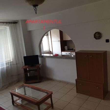Apartament Cu 2 Camere,Ultracentral In Arad Exterior photo