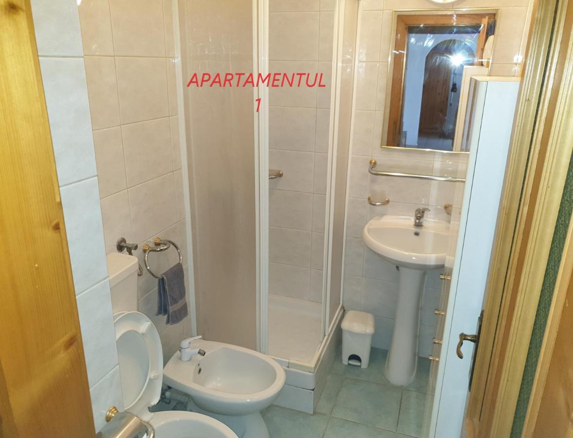 Apartament Cu 2 Camere,Ultracentral In Arad Exterior photo