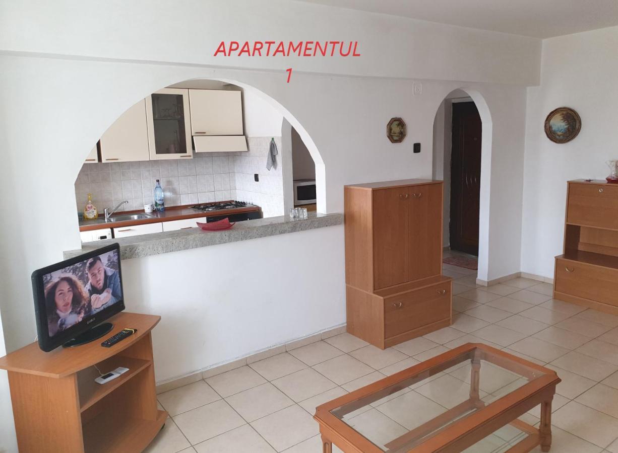 Apartament Cu 2 Camere,Ultracentral In Arad Exterior photo