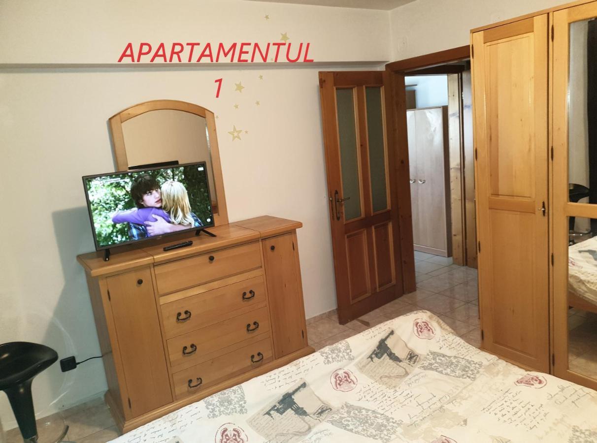Apartament Cu 2 Camere,Ultracentral In Arad Exterior photo